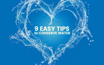 9 Easy Tips to Conserve Water
